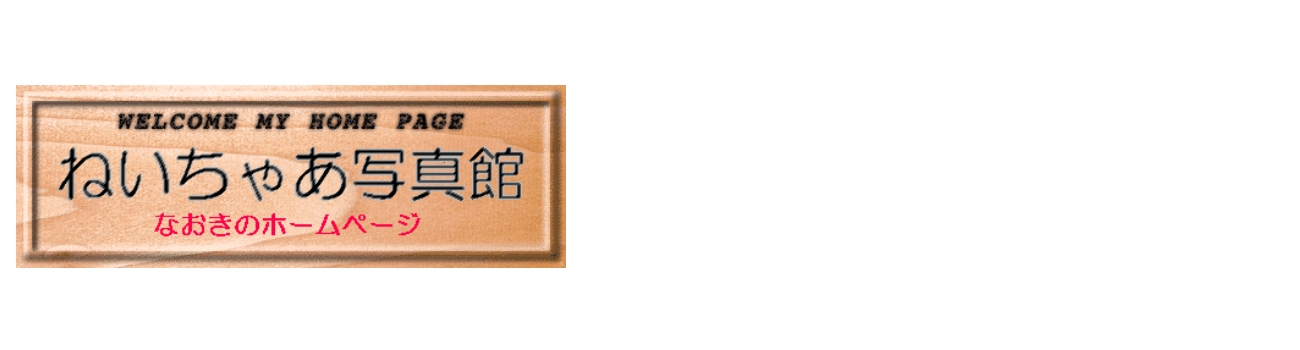 昔々のホームページ